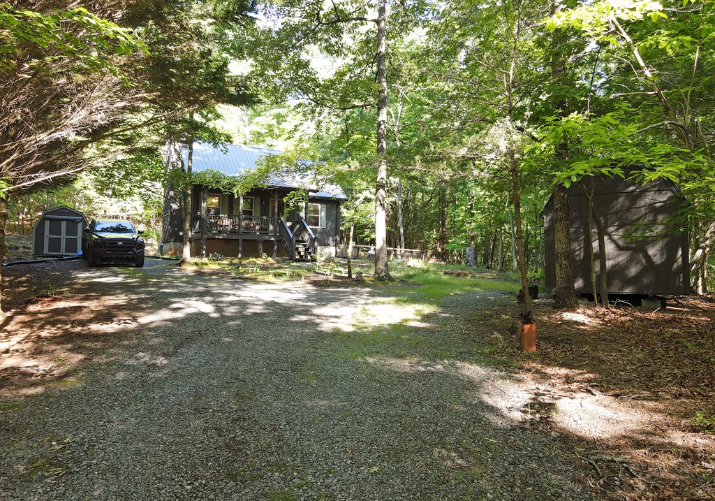 785 Bernhardt Road Ellijay, GA 30536 - Photo 5 of 33 Gallery Image 5