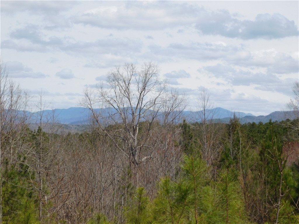 715 Eagle Ridge Way Salem, SC 29676 - Photo 3 of 5 Gallery Image 3