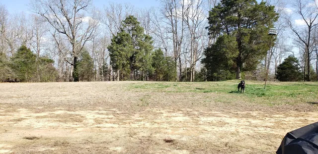 a house view with a outdoor space