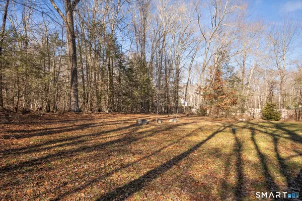 a view of road and trees