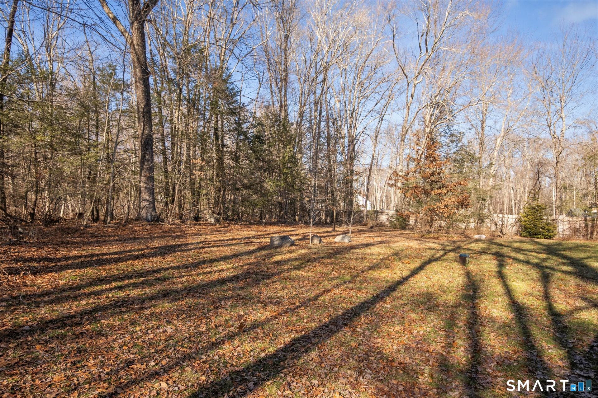 a view of road and trees