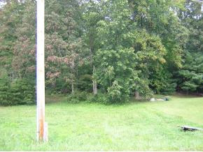 0 Preacher Laws Road, Unit 23 Afton, TN 37616 - Photo 1 of 2 Photo 1