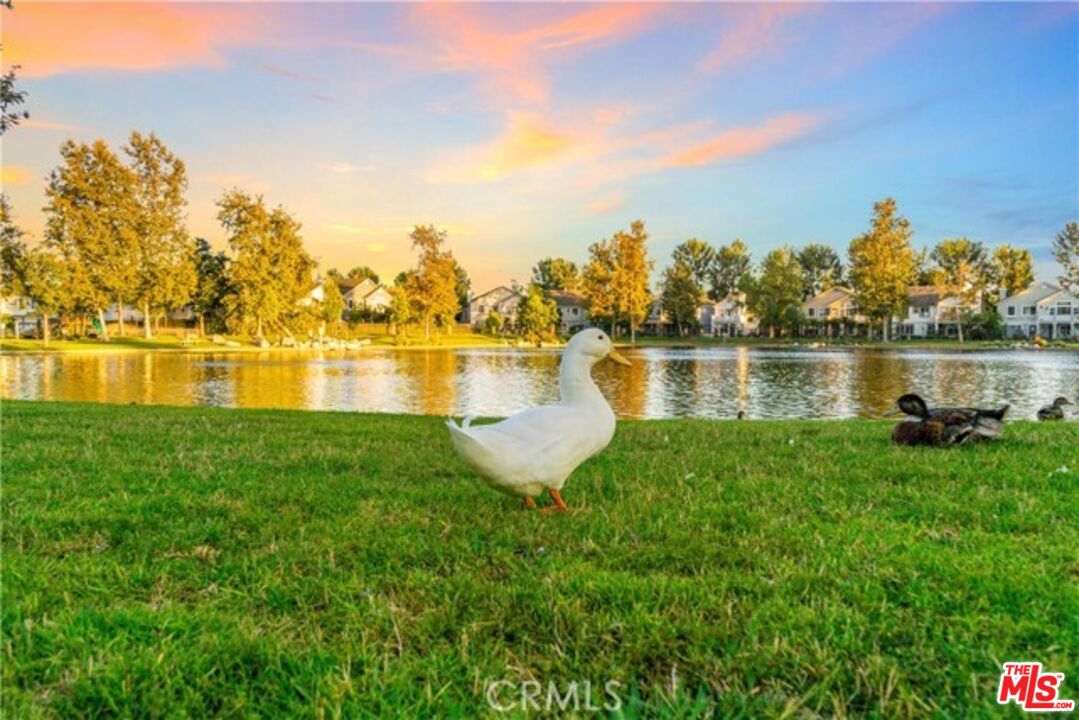 38 Windward Way Buena Park, CA 90621 - Photo 63 of 71 a view of a lake with a big yard