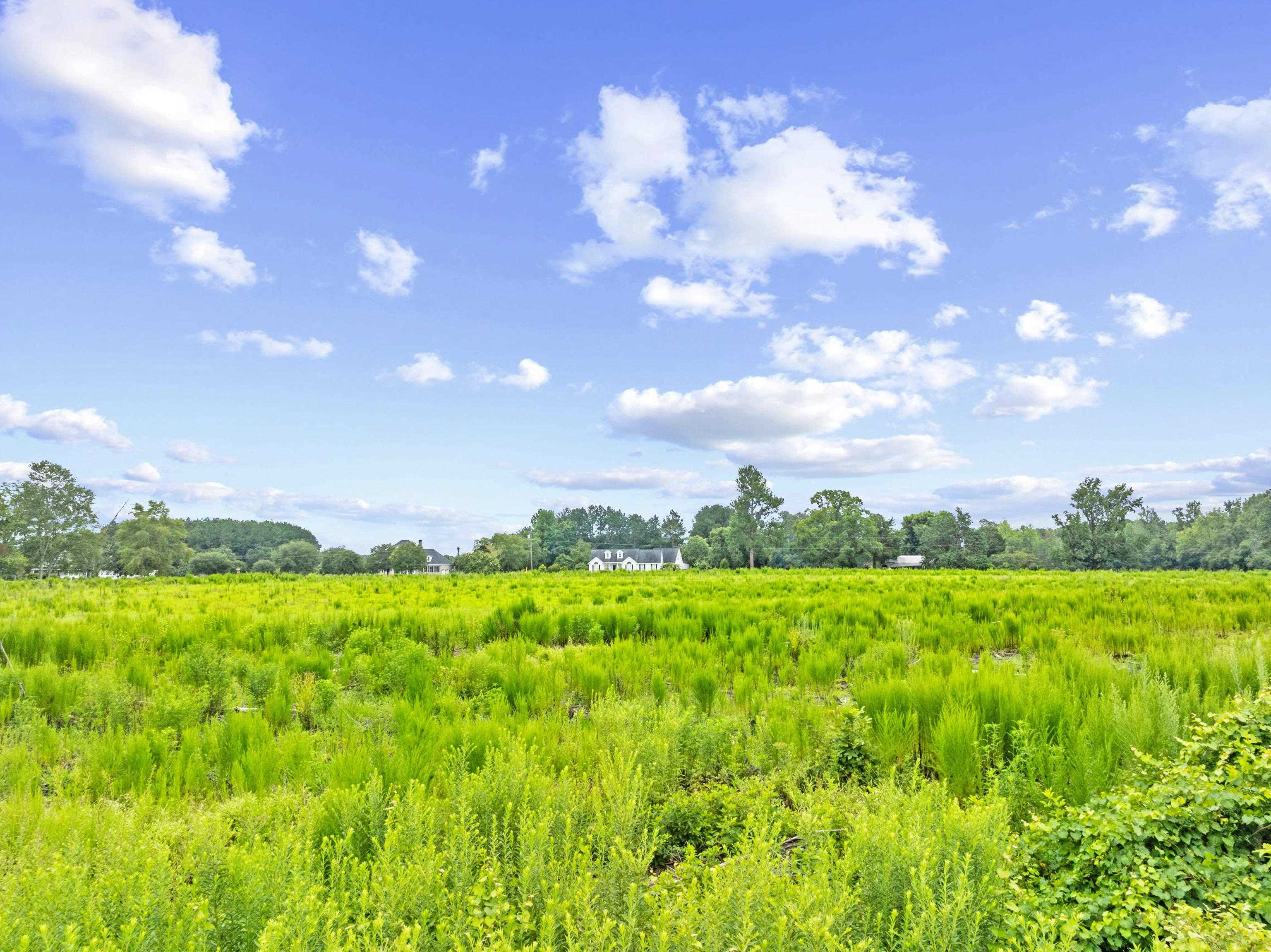 Tbd Lot 1 Green Sea Road Green Sea, SC 29545 - Photo 3 of 3
