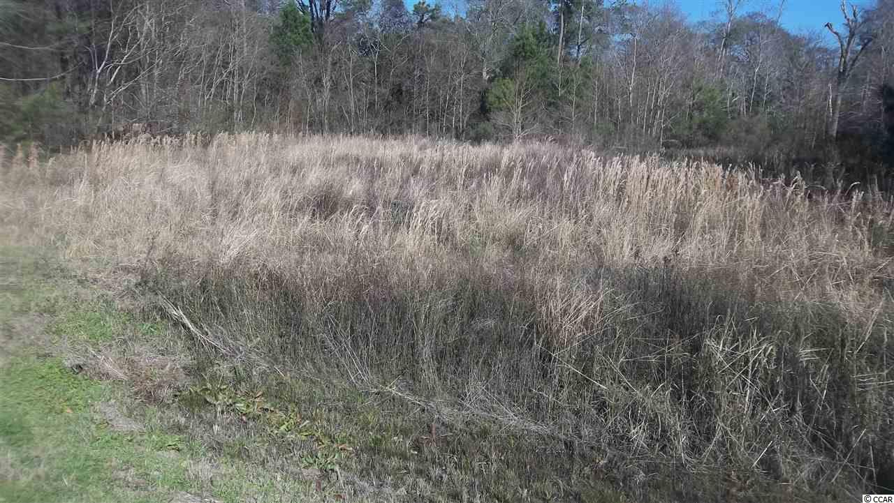 0 Fairfax Road Galivants Ferry, SC 29544 - Photo 1 of 1 Gallery Image 1