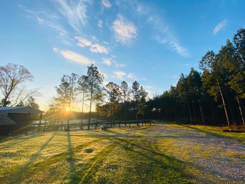 216 Lanham Road Edgefield County, SC 29824 - Photo 9 of 23