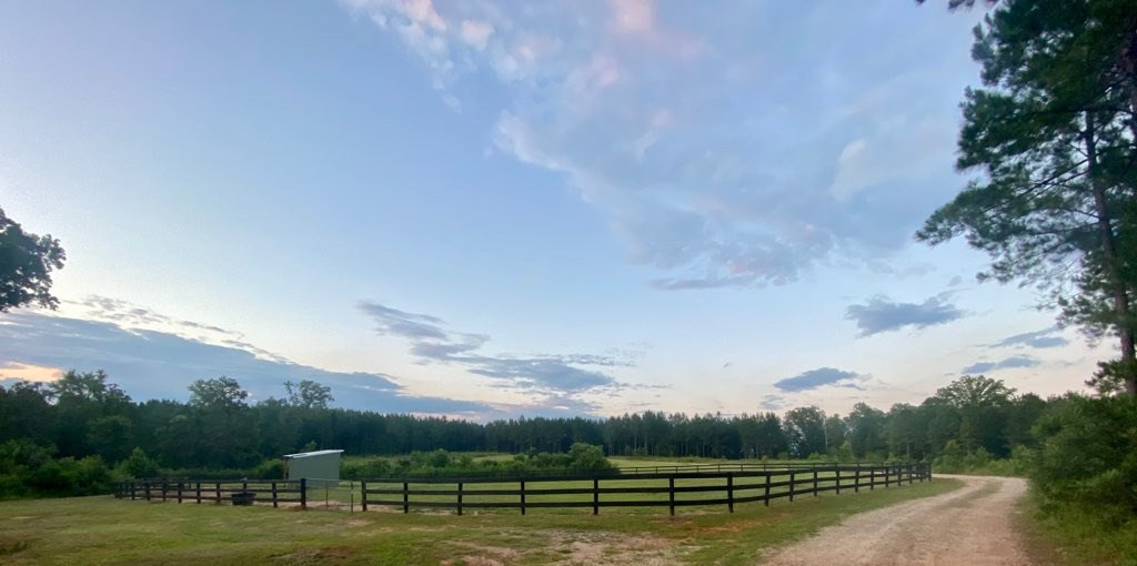 216 Lanham Road Edgefield County, SC 29824 - Photo 10 of 23