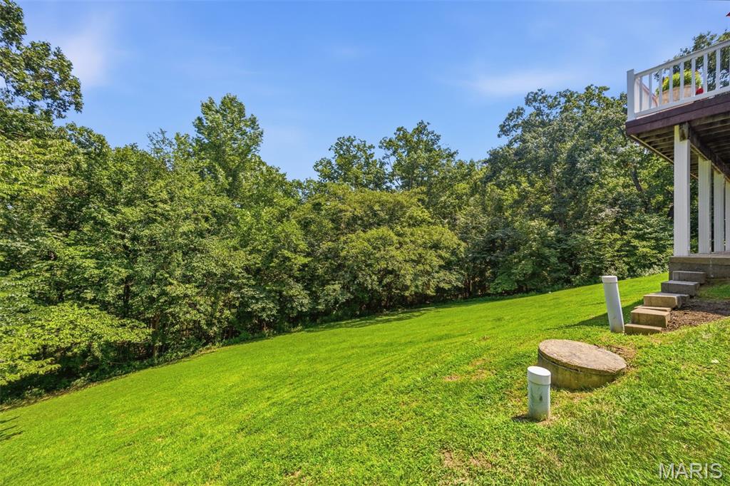 8 Appomattox Ridge Festus, MO 63028 - Photo 53 of 65 Gallery Image 53