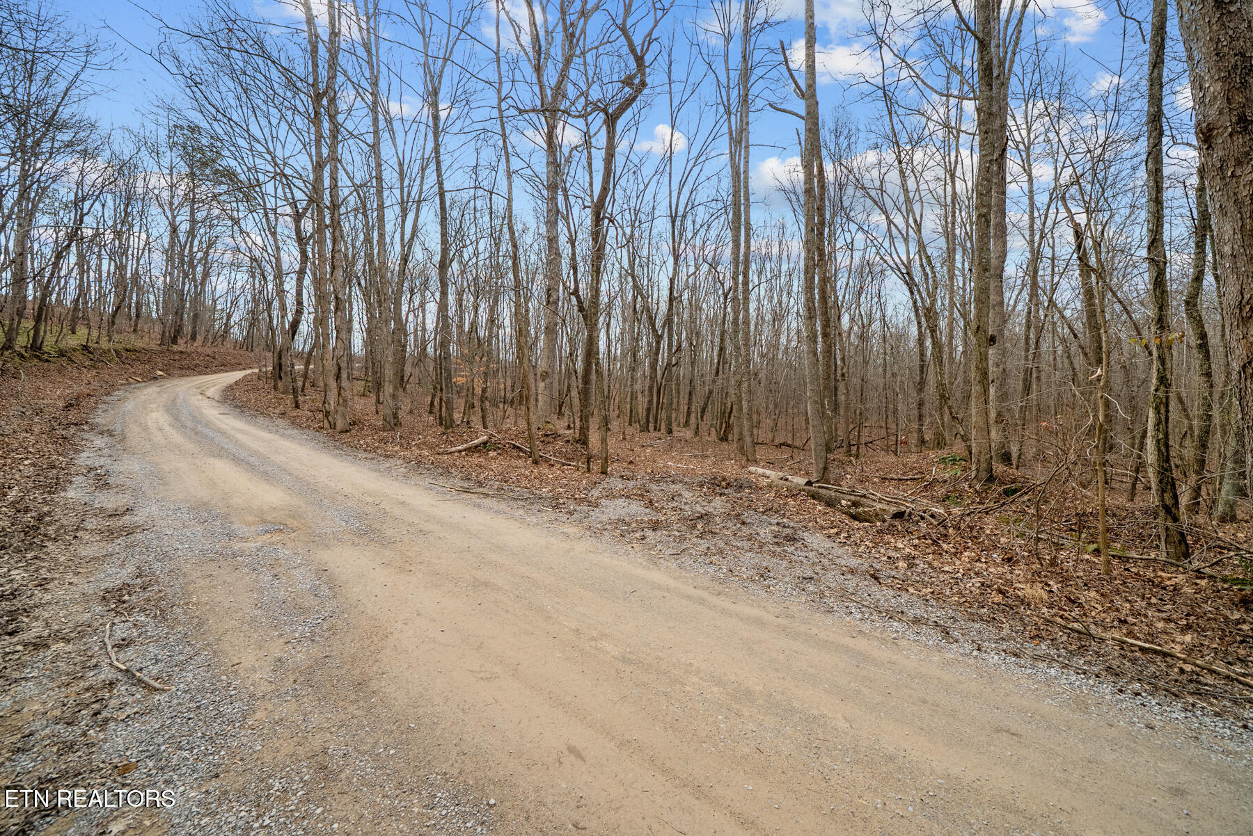 20-acres 20-acres Barbee Cemetery Road Pikeville, TN 37367 - Photo 11 of 33 Pikeville TN 20 acres (22)
