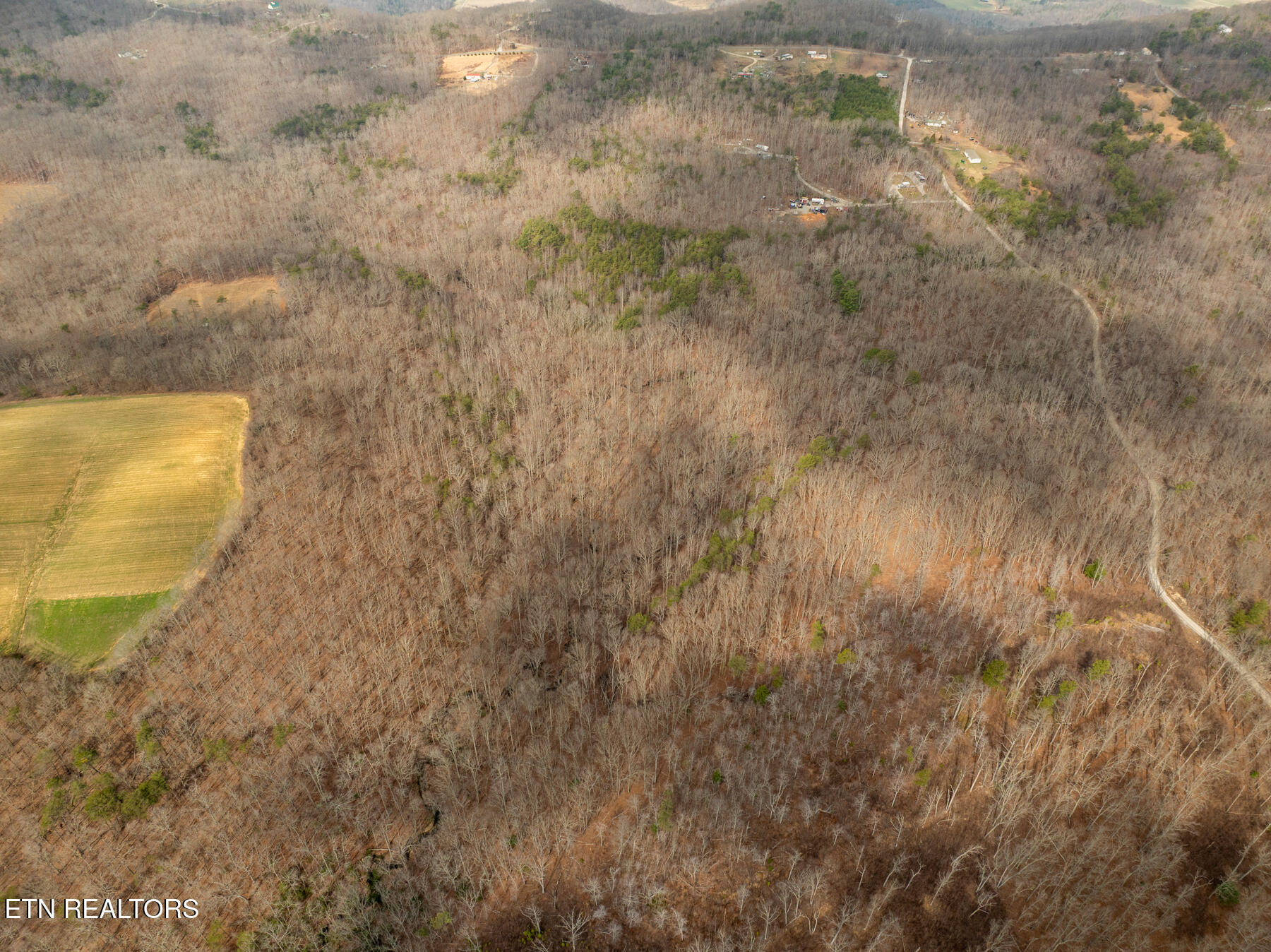 20-acres 20-acres Barbee Cemetery Road Pikeville, TN 37367 - Photo 21 of 33 Pikeville TN 20 acres (8)
