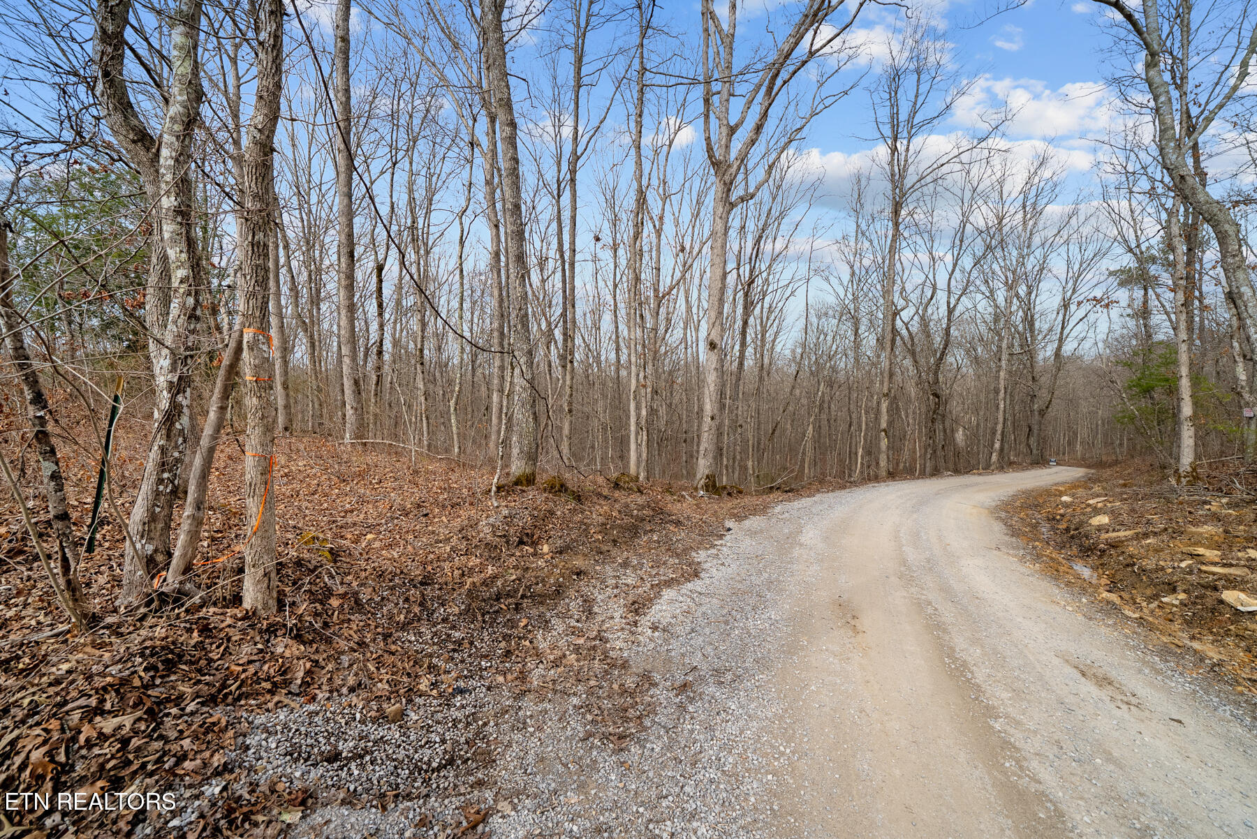 20-acres 20-acres Barbee Cemetery Road Pikeville, TN 37367 - Photo 4 of 33 Pikeville TN 20 acres (15)