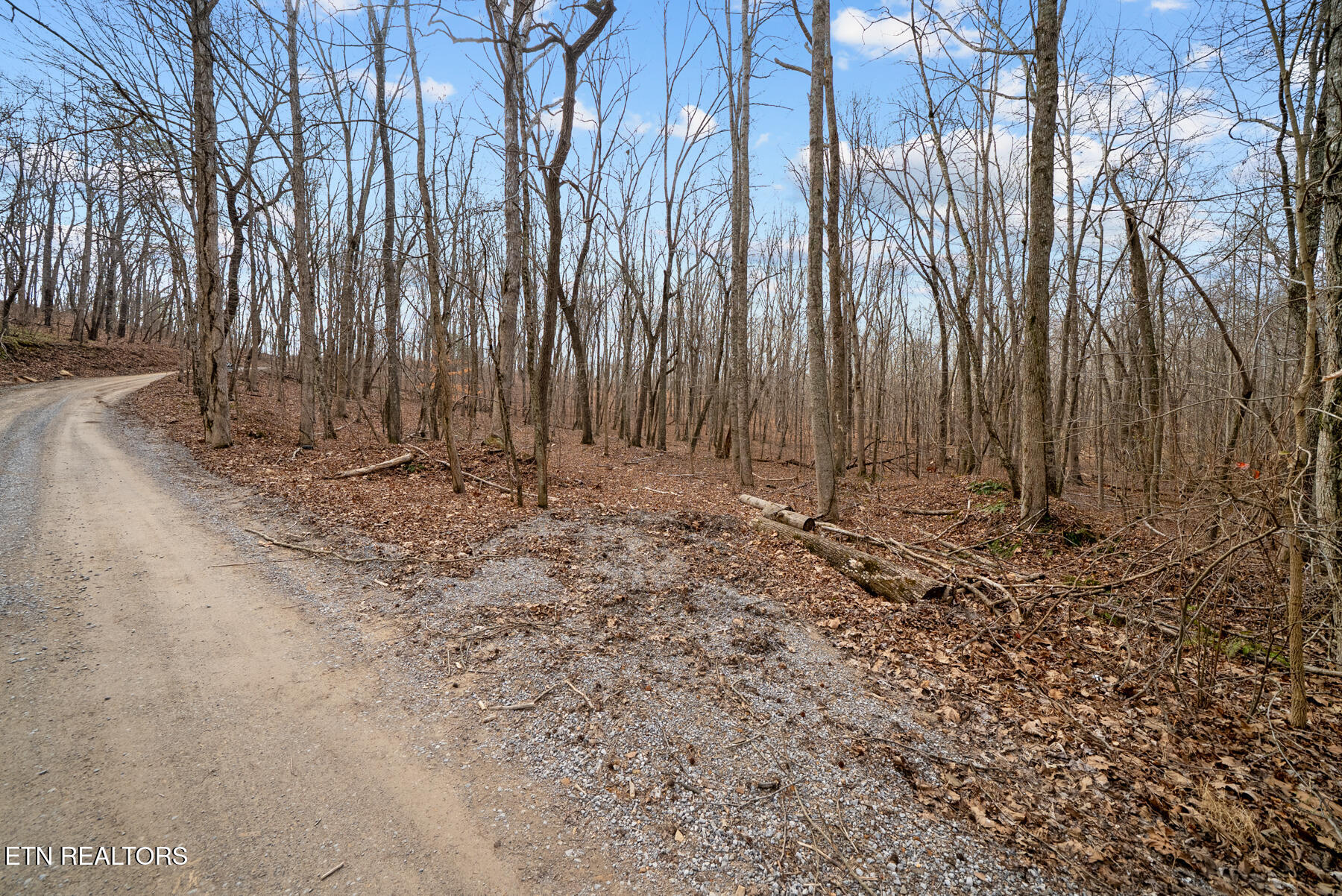 20-acres 20-acres Barbee Cemetery Road Pikeville, TN 37367 - Photo 5 of 33 Pikeville TN 20 acres (16)