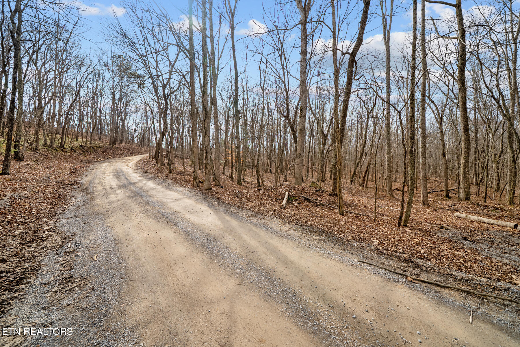 20-acres 20-acres Barbee Cemetery Road Pikeville, TN 37367 - Photo 6 of 33 Pikeville TN 20 acres (17)