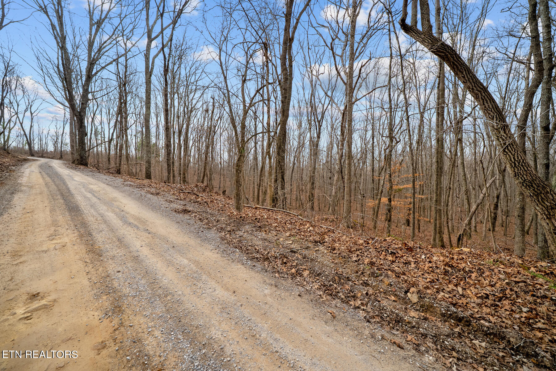 20-acres 20-acres Barbee Cemetery Road Pikeville, TN 37367 - Photo 7 of 33 Pikeville TN 20 acres (18)
