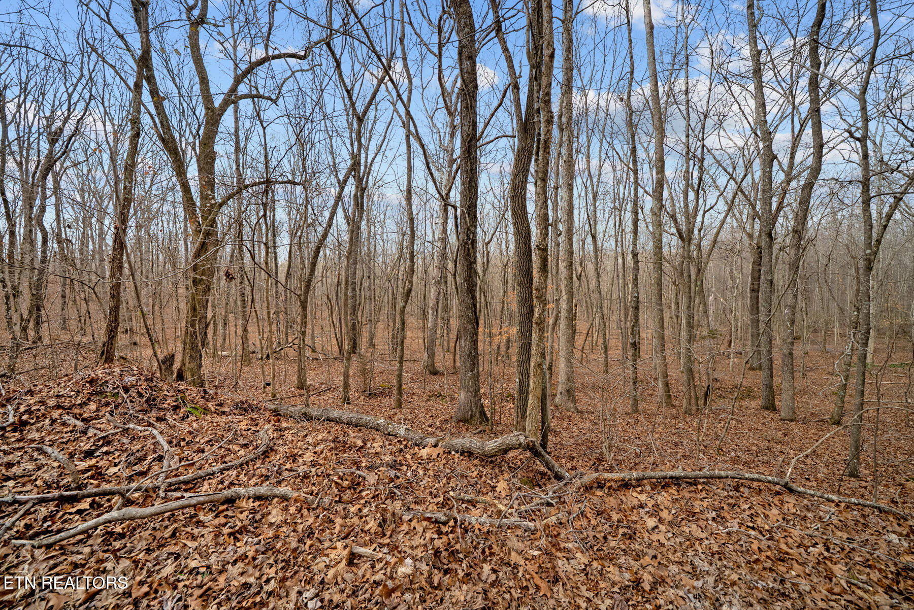 20-acres 20-acres Barbee Cemetery Road Pikeville, TN 37367 - Photo 8 of 33 Pikeville TN 20 acres (19)