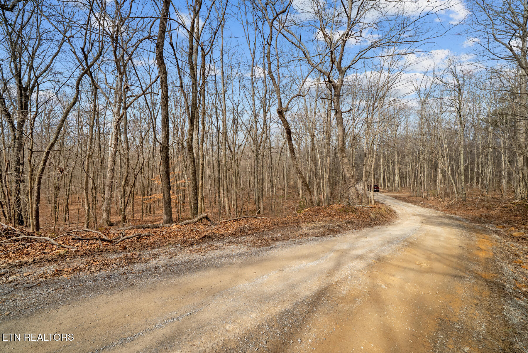 20-acres 20-acres Barbee Cemetery Road Pikeville, TN 37367 - Photo 9 of 33 Pikeville TN 20 acres (20)