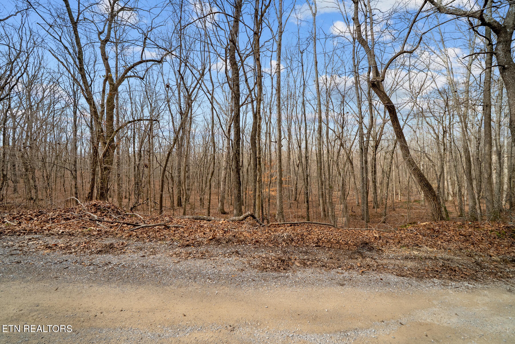 20-acres 20-acres Barbee Cemetery Road Pikeville, TN 37367 - Photo 10 of 33 Pikeville TN 20 acres (21)