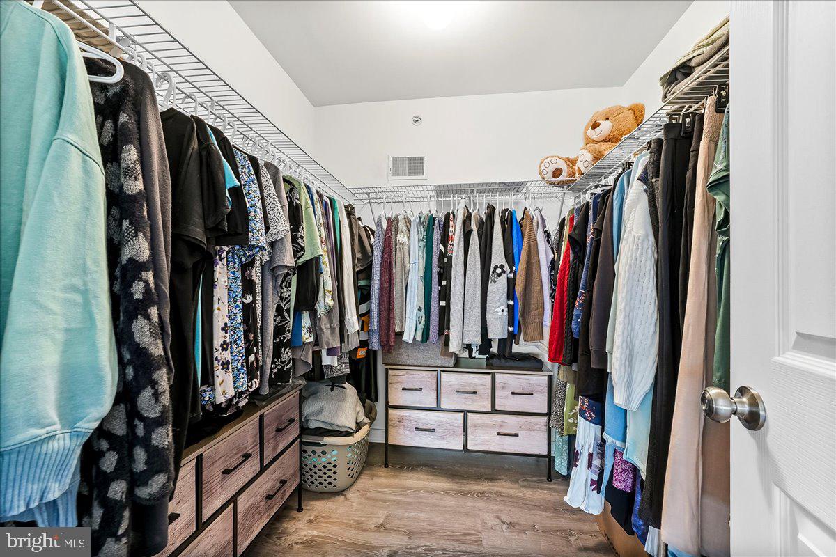 605 Barclay Circle Springfield, PA 19064 - Photo 20 of 30 Primary Walk-In Closet