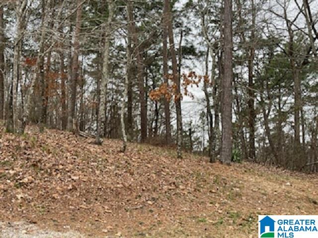 462 Conroy Circle, Unit 710 Sterrett, AL 35147 - Photo 8 of 9