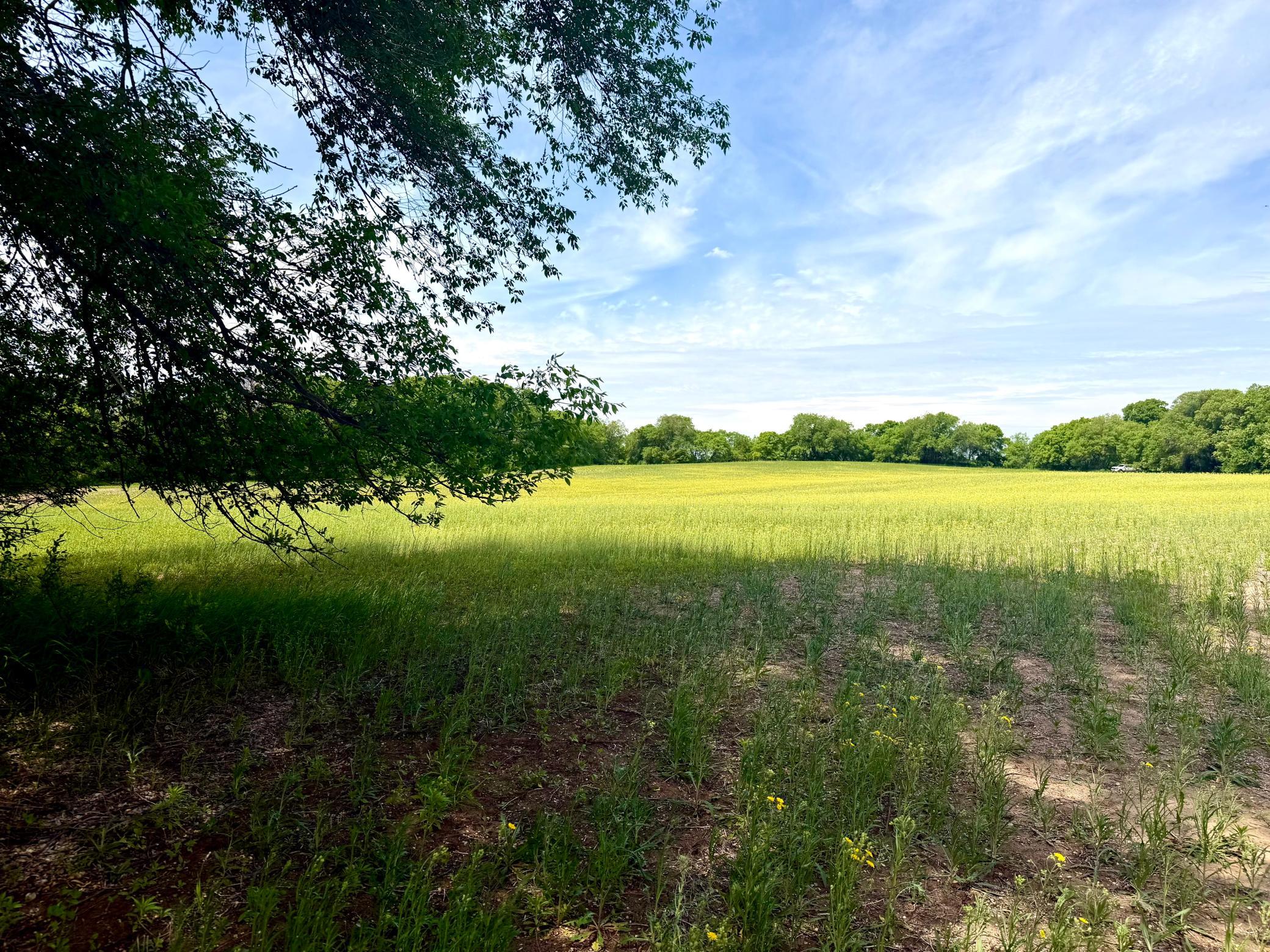 Tbd-10-ac 87th Street Southeast Becker, MN 55308 - Photo 15 of 23