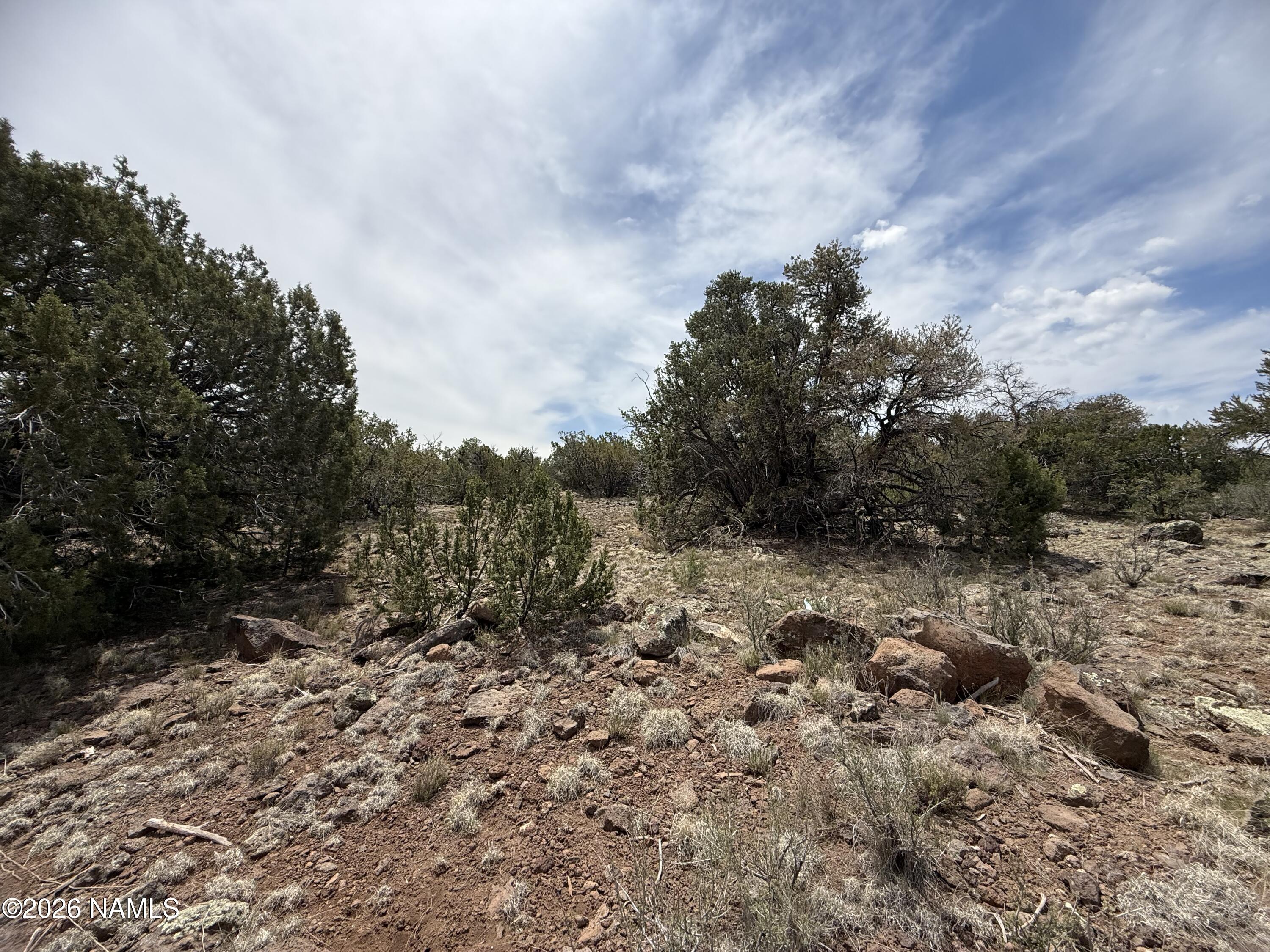 732 East Sidewinder Road Williams, AZ 86046 - Photo 7 of 10 IMG_5390