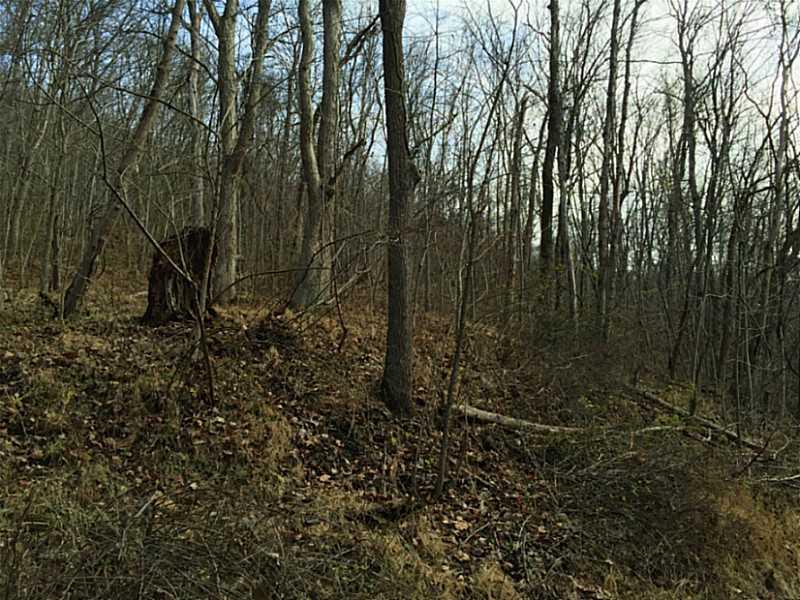 620 Apples Mill Road West Newton, PA 15089 - Photo 13 of 25 Land/Lot.