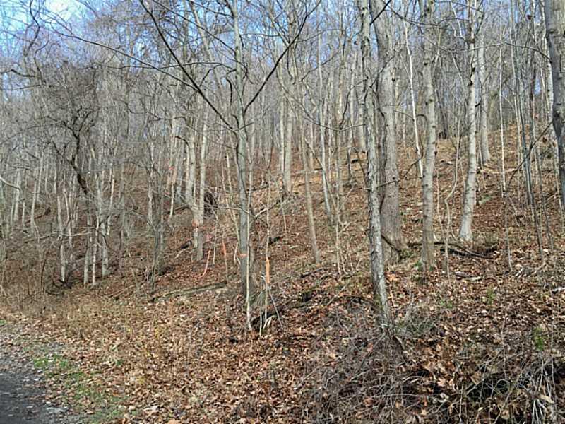 620 Apples Mill Road West Newton, PA 15089 - Photo 14 of 25 Land/Lot.