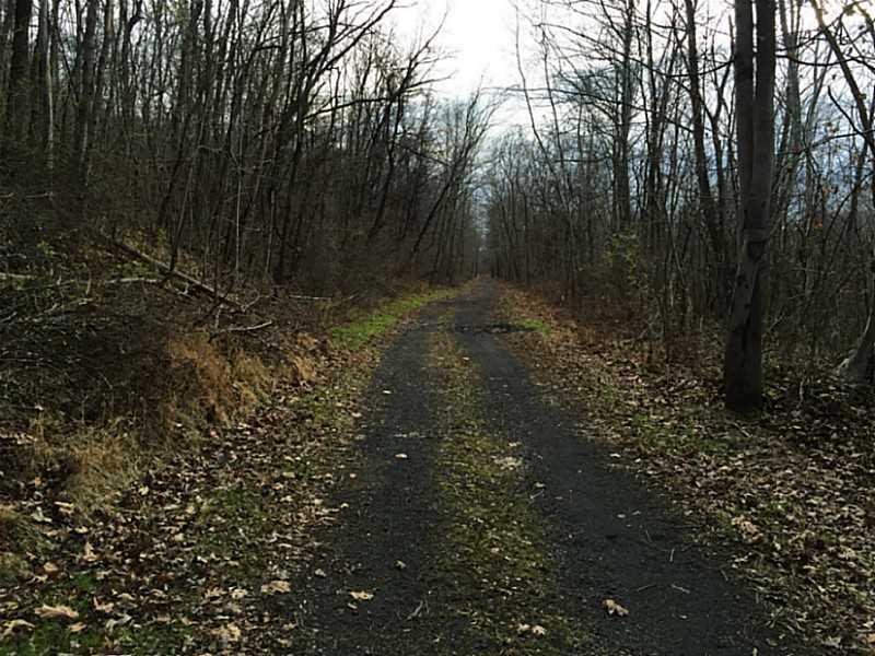 620 Apples Mill Road West Newton, PA 15089 - Photo 15 of 25 Land/Lot.
