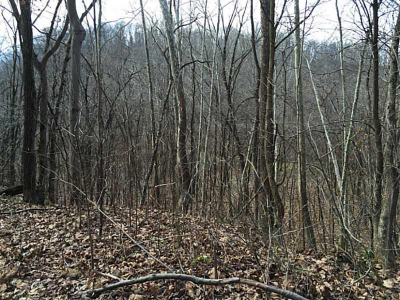 620 Apples Mill Road West Newton, PA 15089 - Photo 17 of 25 Land/Lot.