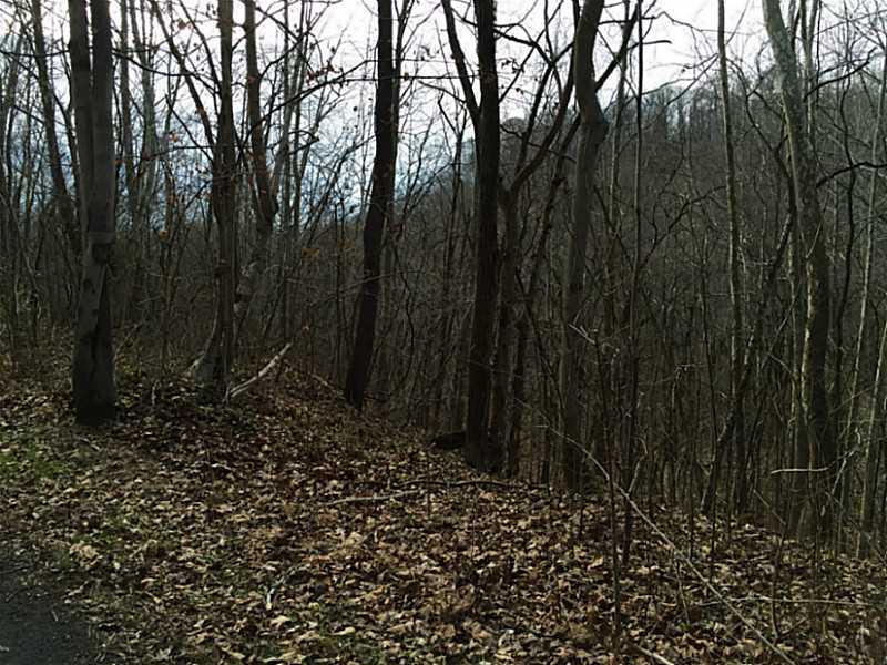 620 Apples Mill Road West Newton, PA 15089 - Photo 18 of 25 Land/Lot.