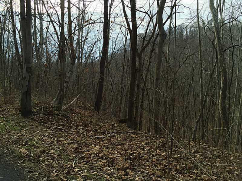 620 Apples Mill Road West Newton, PA 15089 - Photo 19 of 25 Land/Lot.