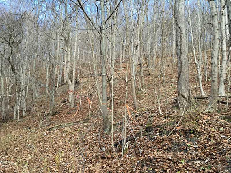 620 Apples Mill Road West Newton, PA 15089 - Photo 20 of 25 Land/Lot.