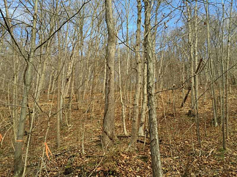 620 Apples Mill Road West Newton, PA 15089 - Photo 21 of 25 Land/Lot.