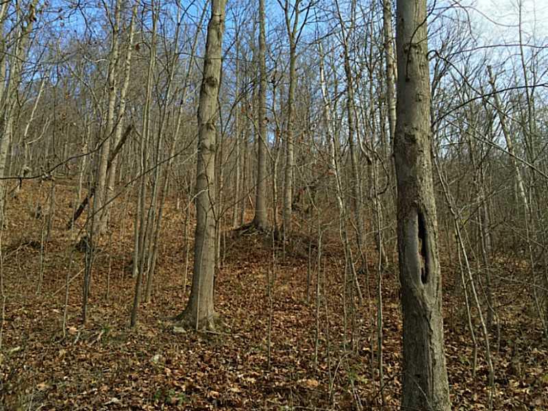 620 Apples Mill Road West Newton, PA 15089 - Photo 22 of 25 Land/Lot.
