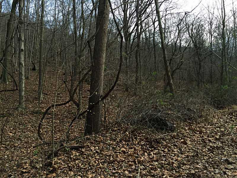 620 Apples Mill Road West Newton, PA 15089 - Photo 23 of 25 Land/Lot.