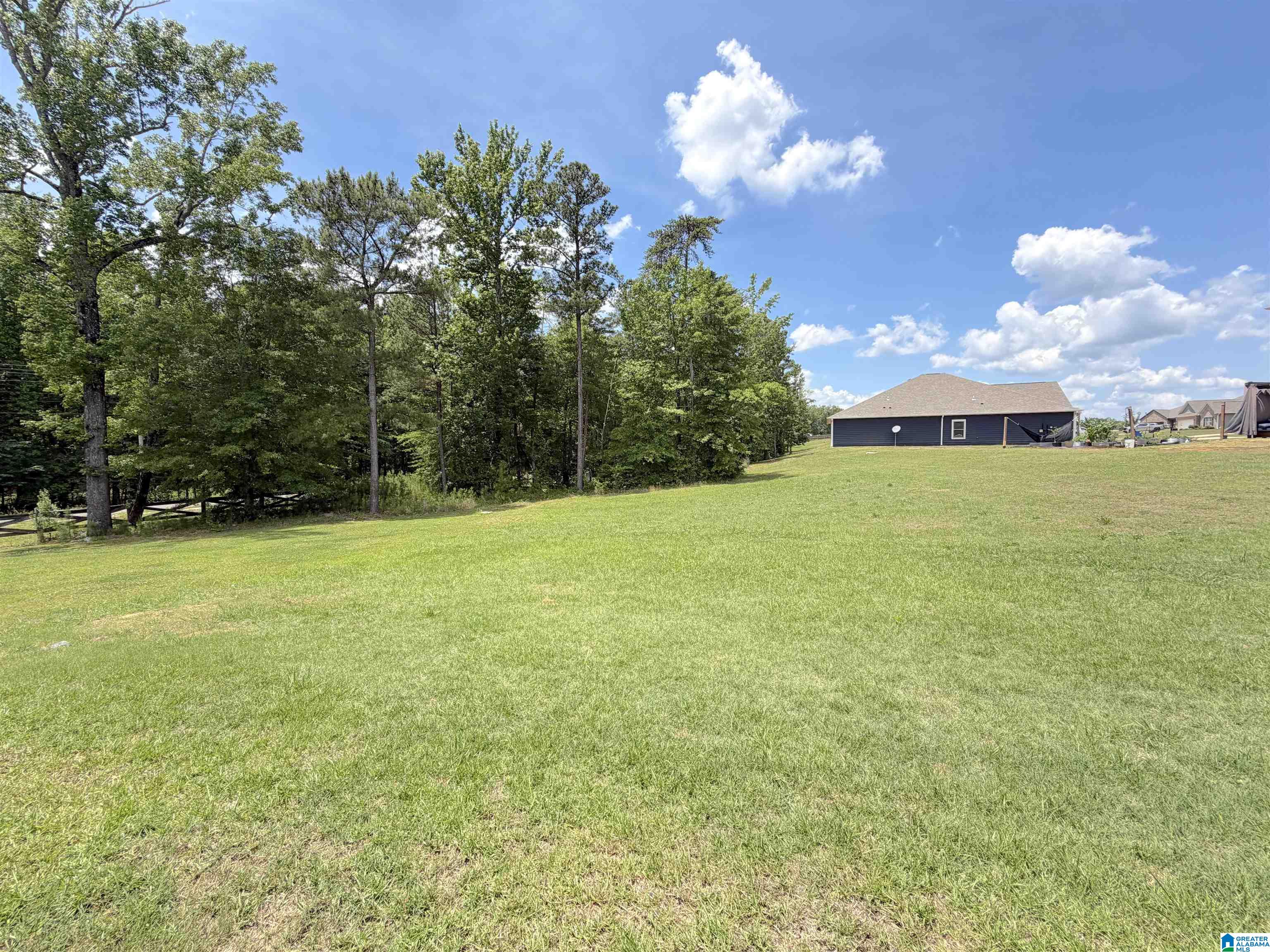 65 Ridgeview Circle Jemison, AL 35085 - Photo 40 of 41