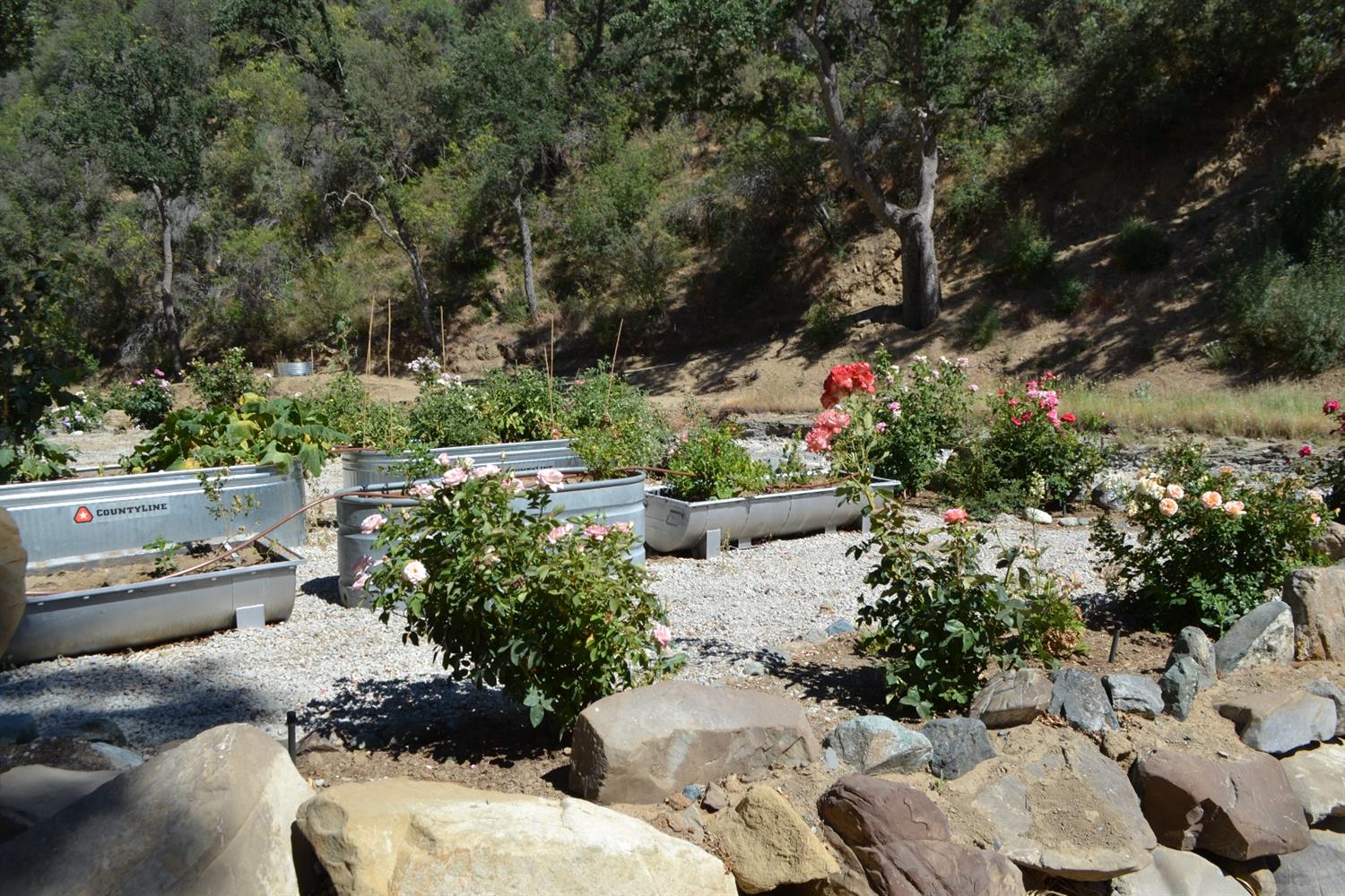 24101 Coalinga Road Coalinga, CA 93210 - Photo 3 of 91 Gallery Image 3