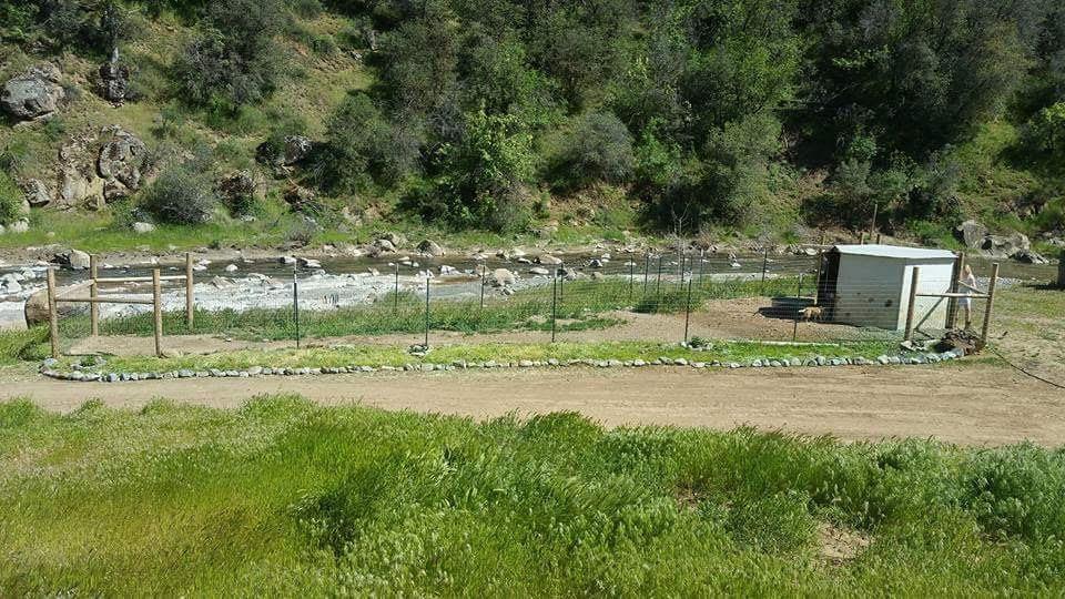 24101 Coalinga Road Coalinga, CA 93210 - Photo 22 of 91 Gallery Image 22