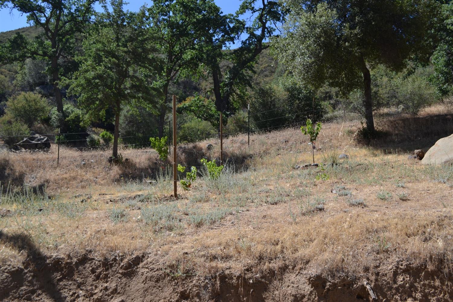24101 Coalinga Road Coalinga, CA 93210 - Photo 30 of 91 Gallery Image 30
