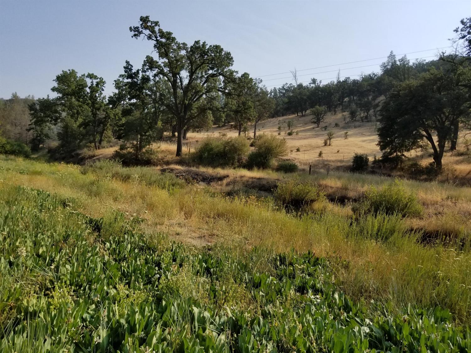 24101 Coalinga Road Coalinga, CA 93210 - Photo 81 of 91 Gallery Image 81
