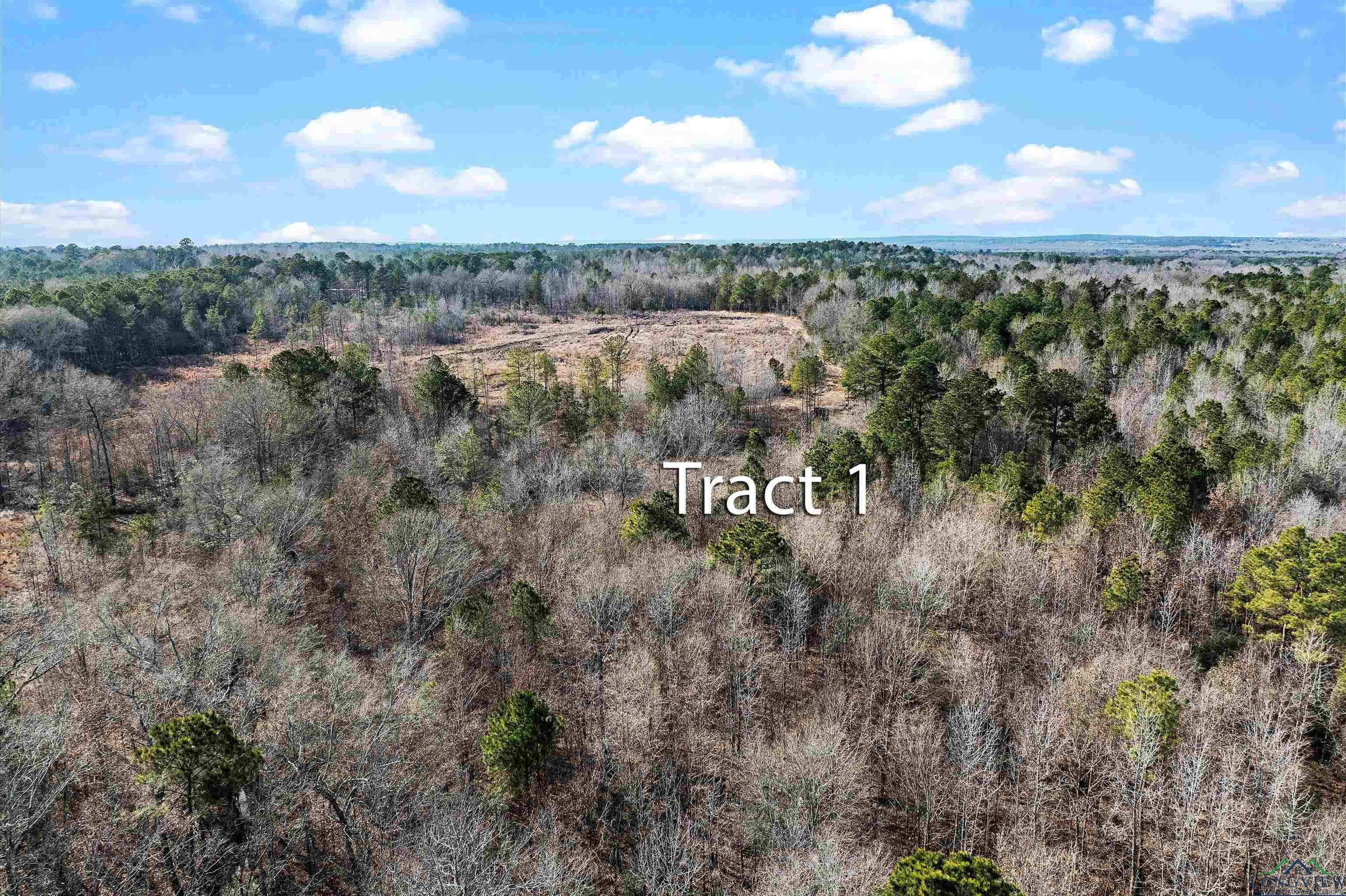 Tbd Baker Bridge Road Marshall, TX 75670 - Photo 10 of 10 Gallery Image 10