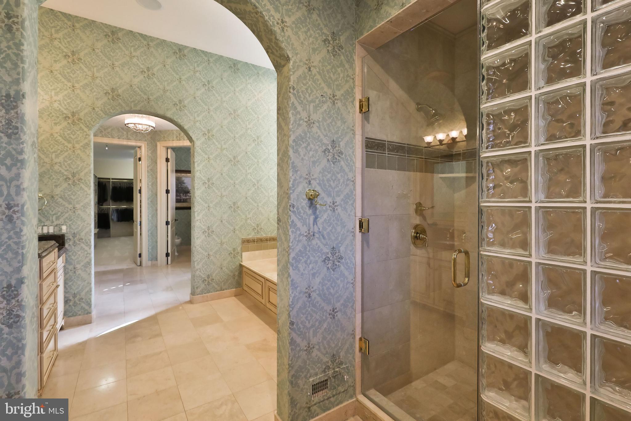 1011 Walton Road Blue Bell, PA 19422 - Photo 31 of 67 walk-in shower