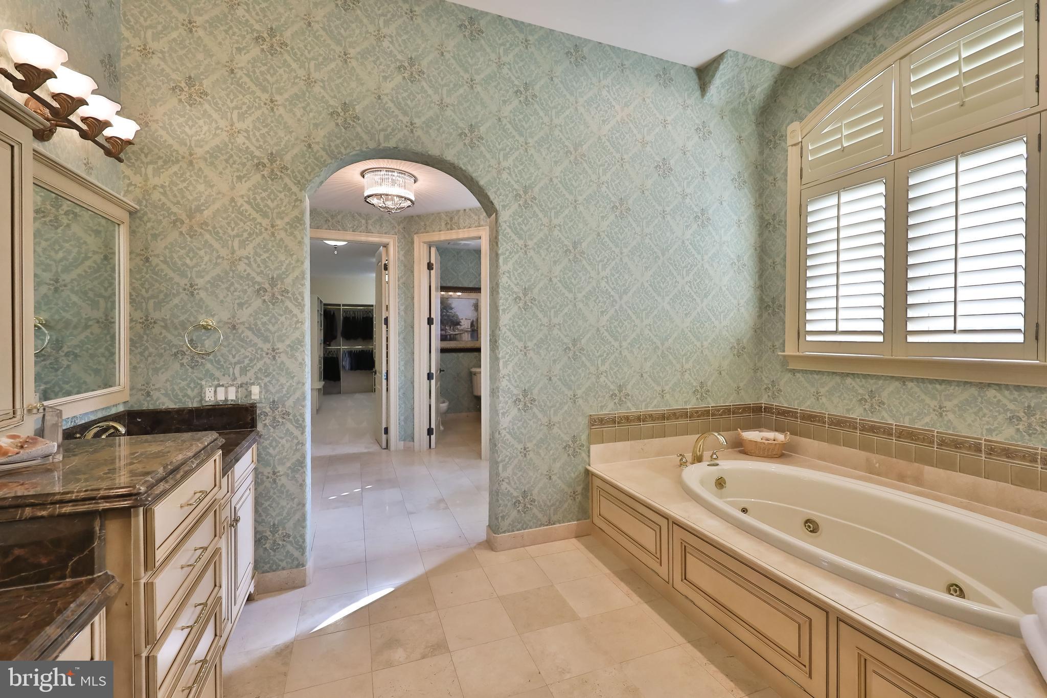 1011 Walton Road Blue Bell, PA 19422 - Photo 32 of 67 open to vanity and dressing area