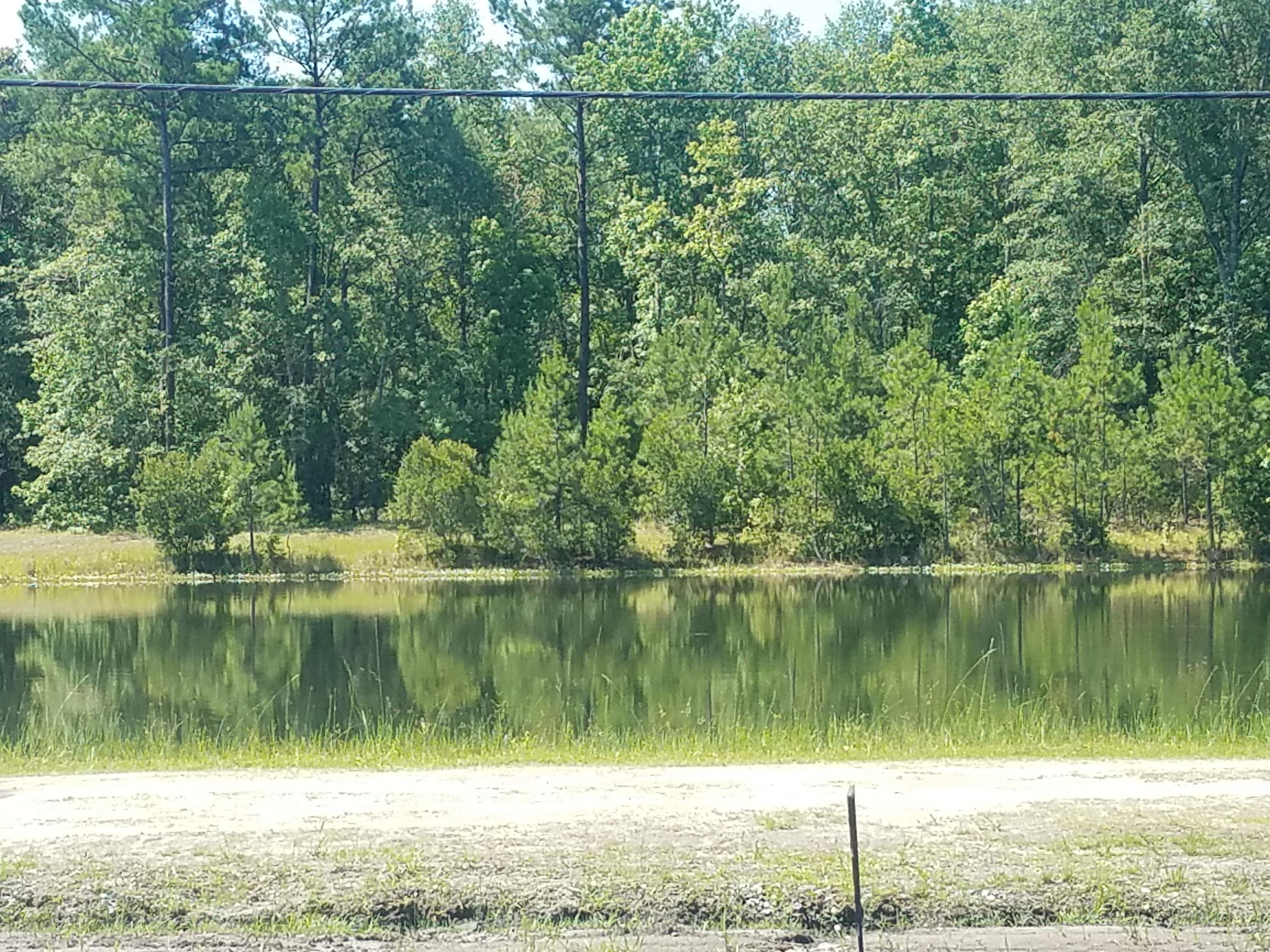 5914 Yellow Dog Road Ravenel, SC 29470 - Photo 3 of 28 Lake view