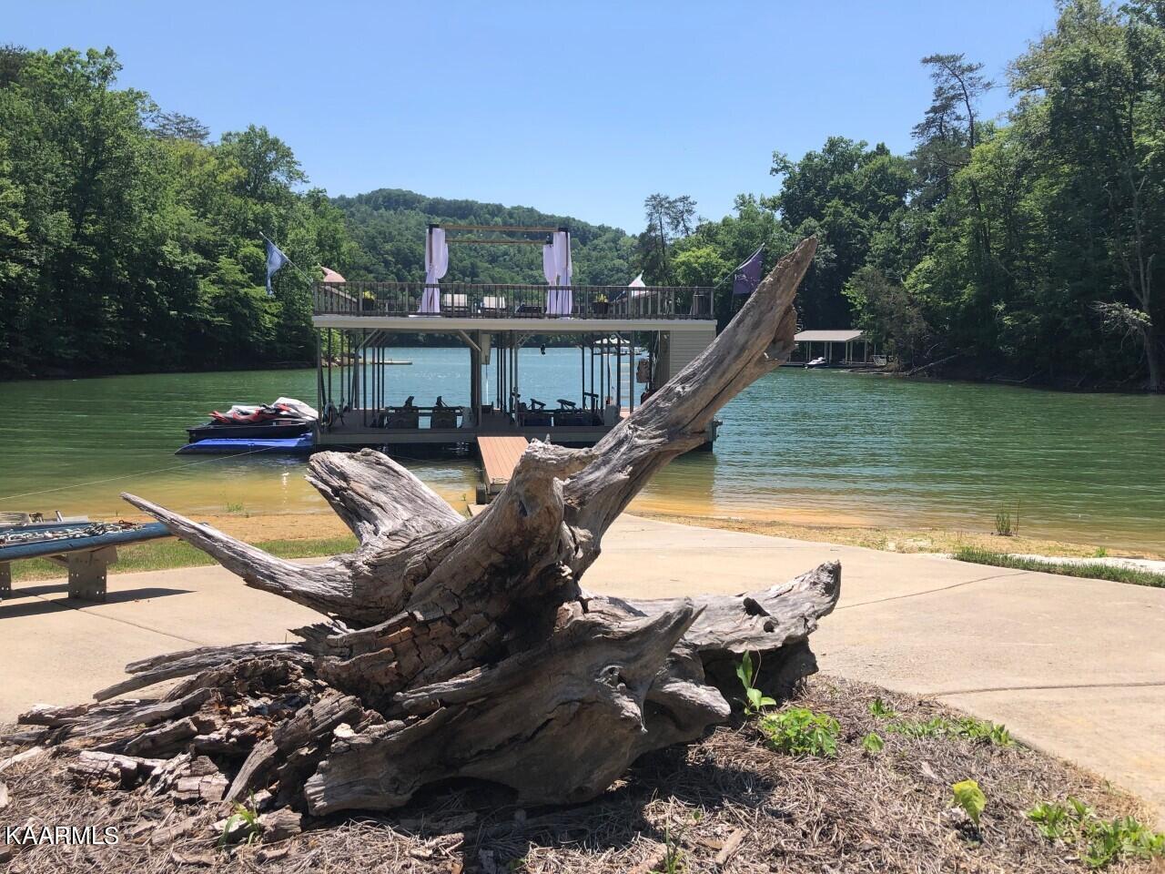356 Bluff View Road New Tazewell, TN 37825 - Photo 6 of 24 Dock/beach