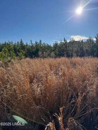 $240,000 | Tbd South Tbd S Ulmer Road, Fairfax, SC 29827
