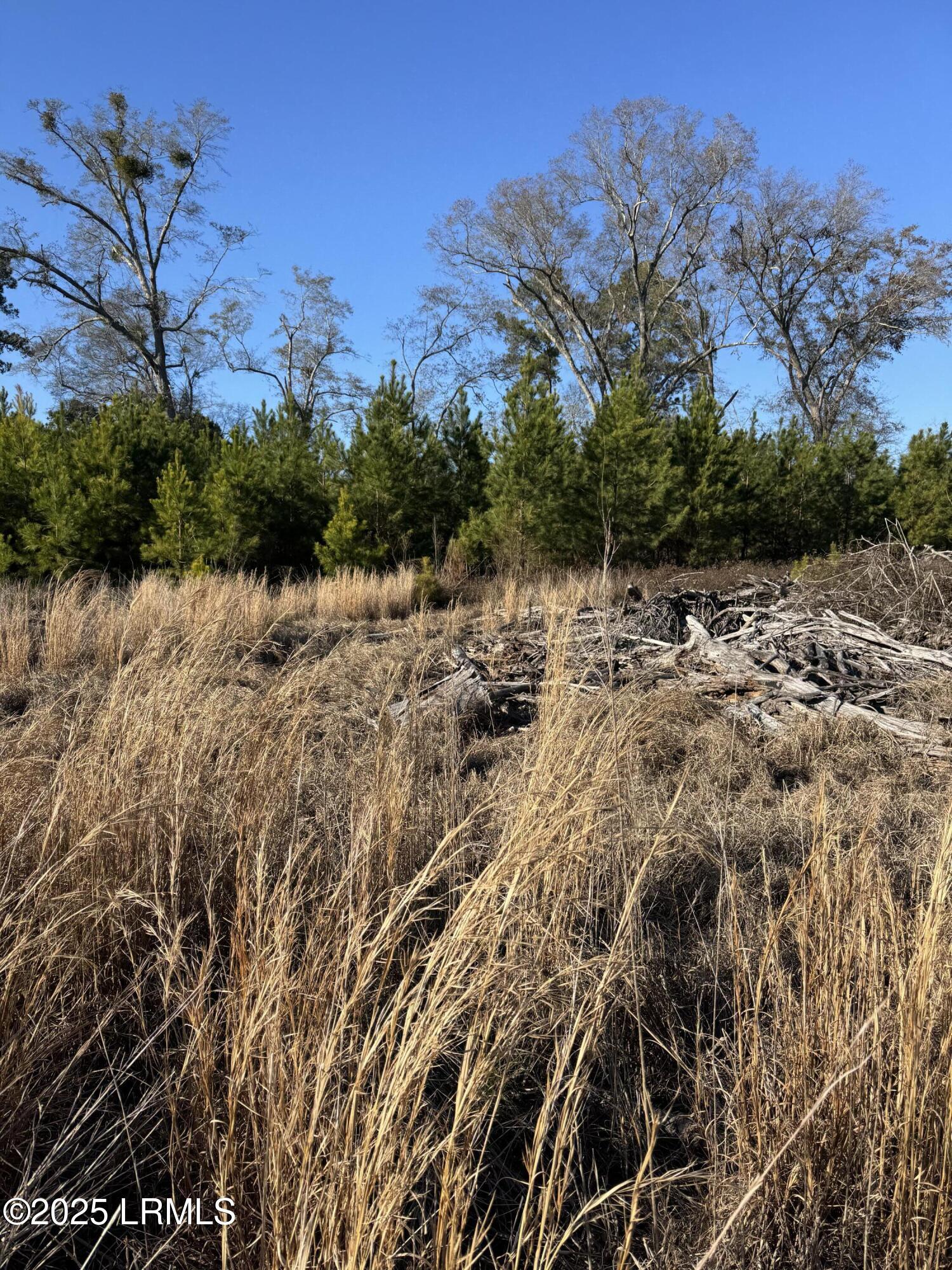 Tbd South Tbd S Ulmer Road Fairfax, SC 29827 - Photo 2 of 3 IMG_3759