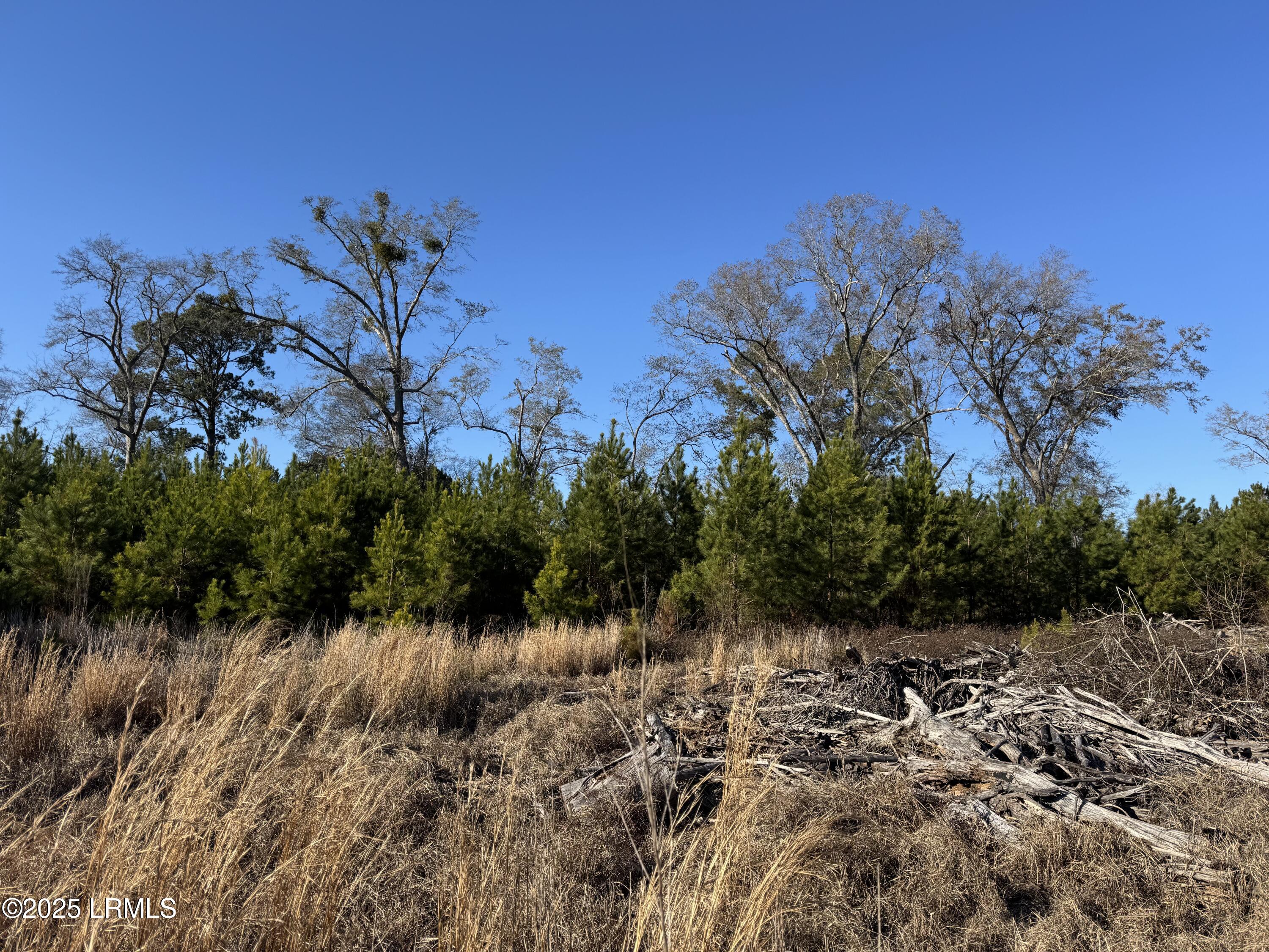 Tbd South Tbd S Ulmer Road Fairfax, SC 29827 - Photo 3 of 3 IMG_3762