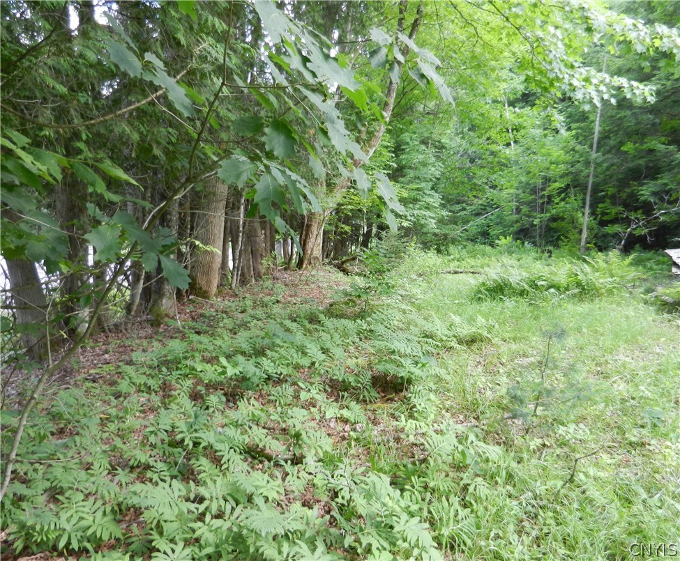 0 Bingham Mills Road Stratford, NY 13470 - Photo 9 of 12