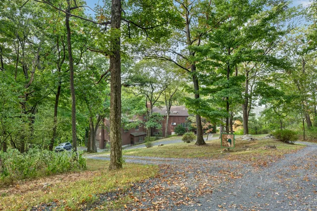 a view of a grassy field with trees in the background